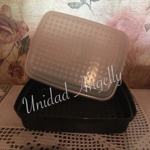 Tupperware New Jr Season Serve Marinate Container